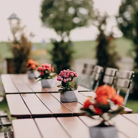 Hotel Hotel&restaurant Friedrichshöhe