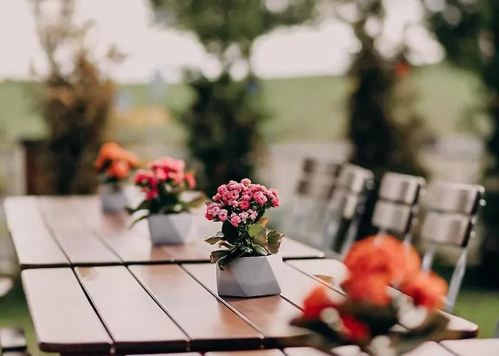 Hotel Hotel&restaurant Friedrichshöhe